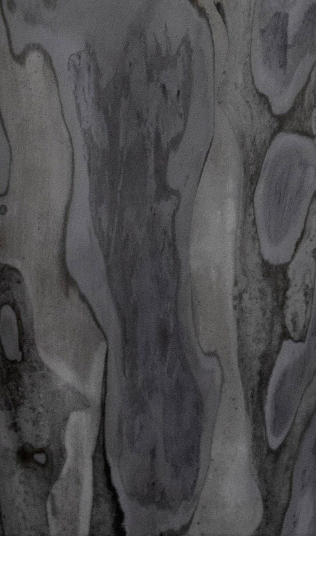 Graphite