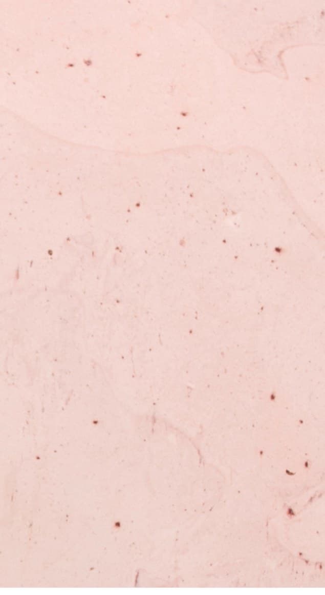 Oxide Pink